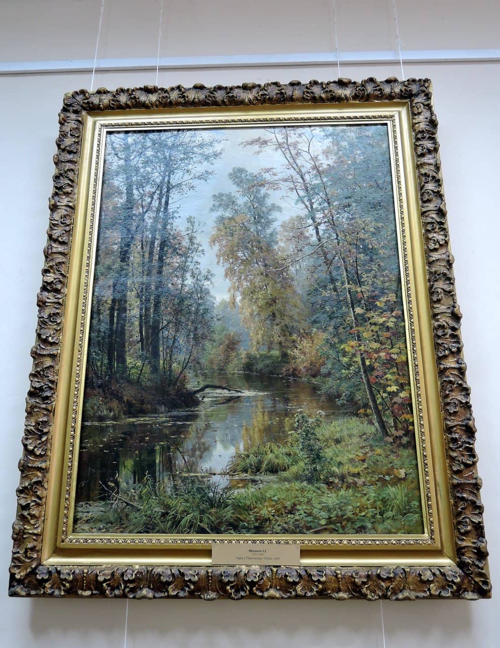 Porcelain Collection