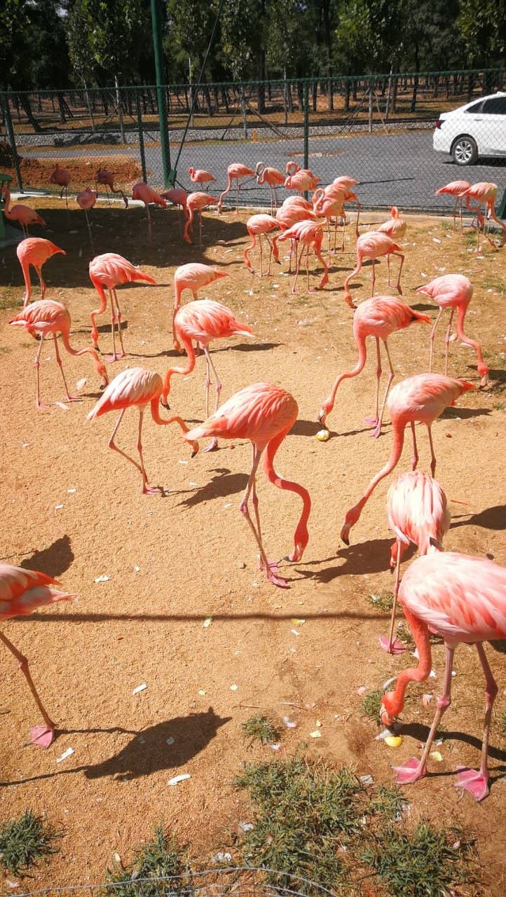 Waterfront Views & Activities