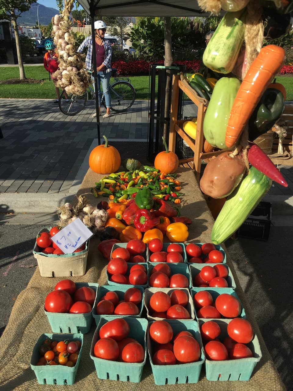 Artisan Crafts & Local Goods