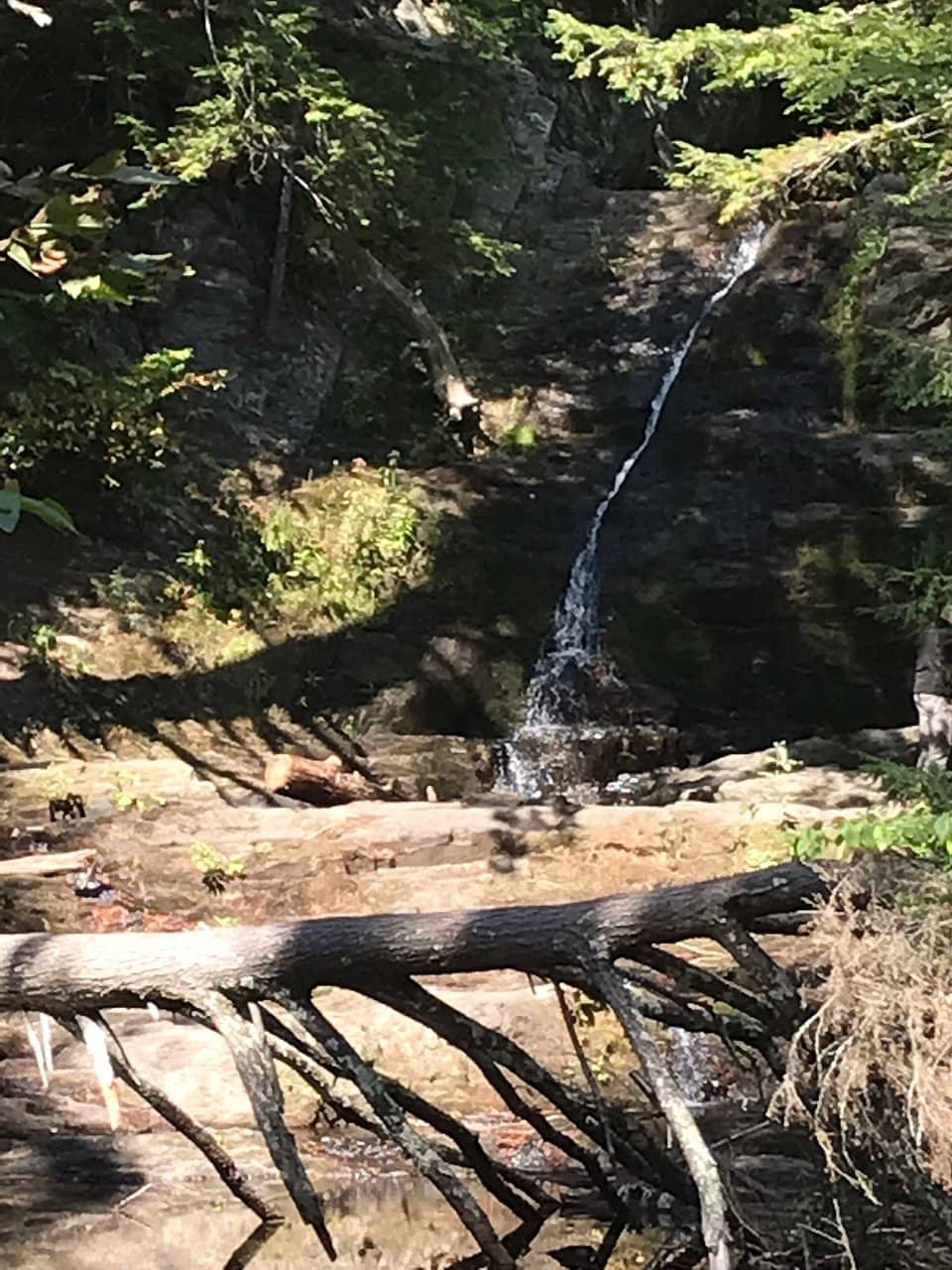 Saco Bay Trail System