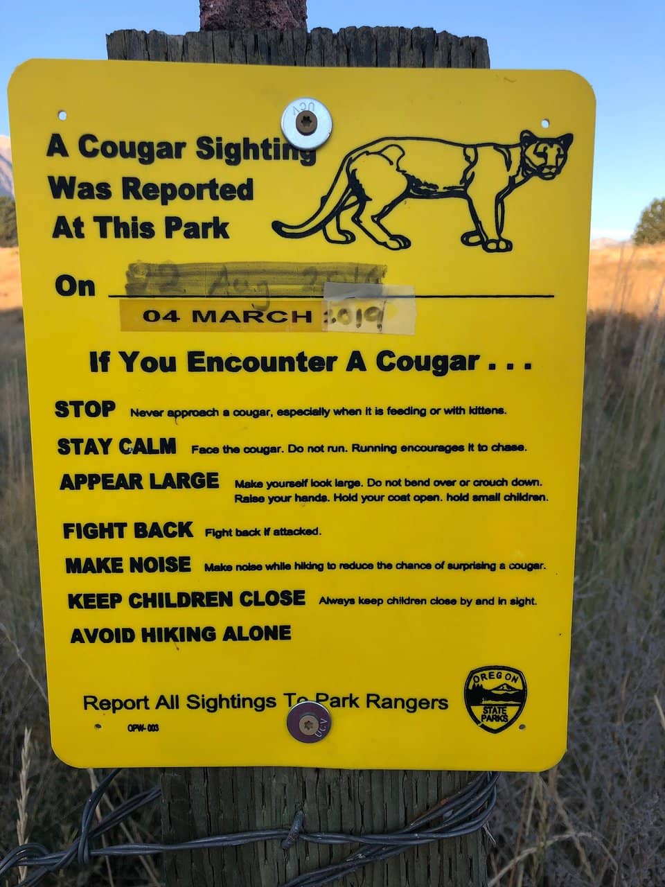 Scenic Pond Trail