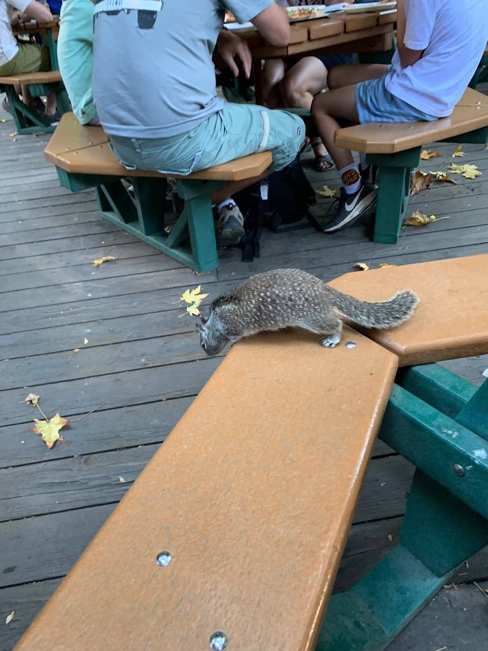 Friendly and Efficient Staff