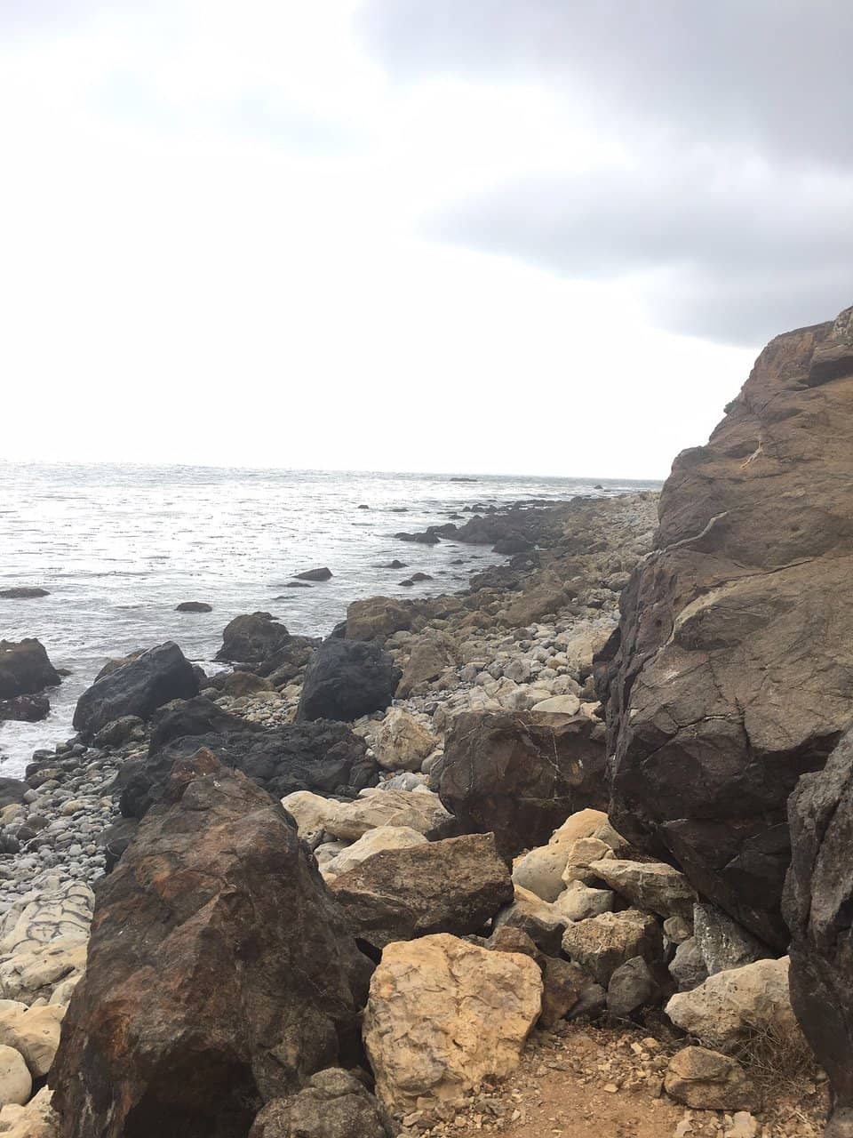 Tide Pool Exploration