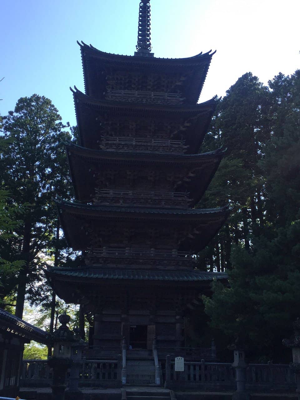 Human-Faced Carp Pond