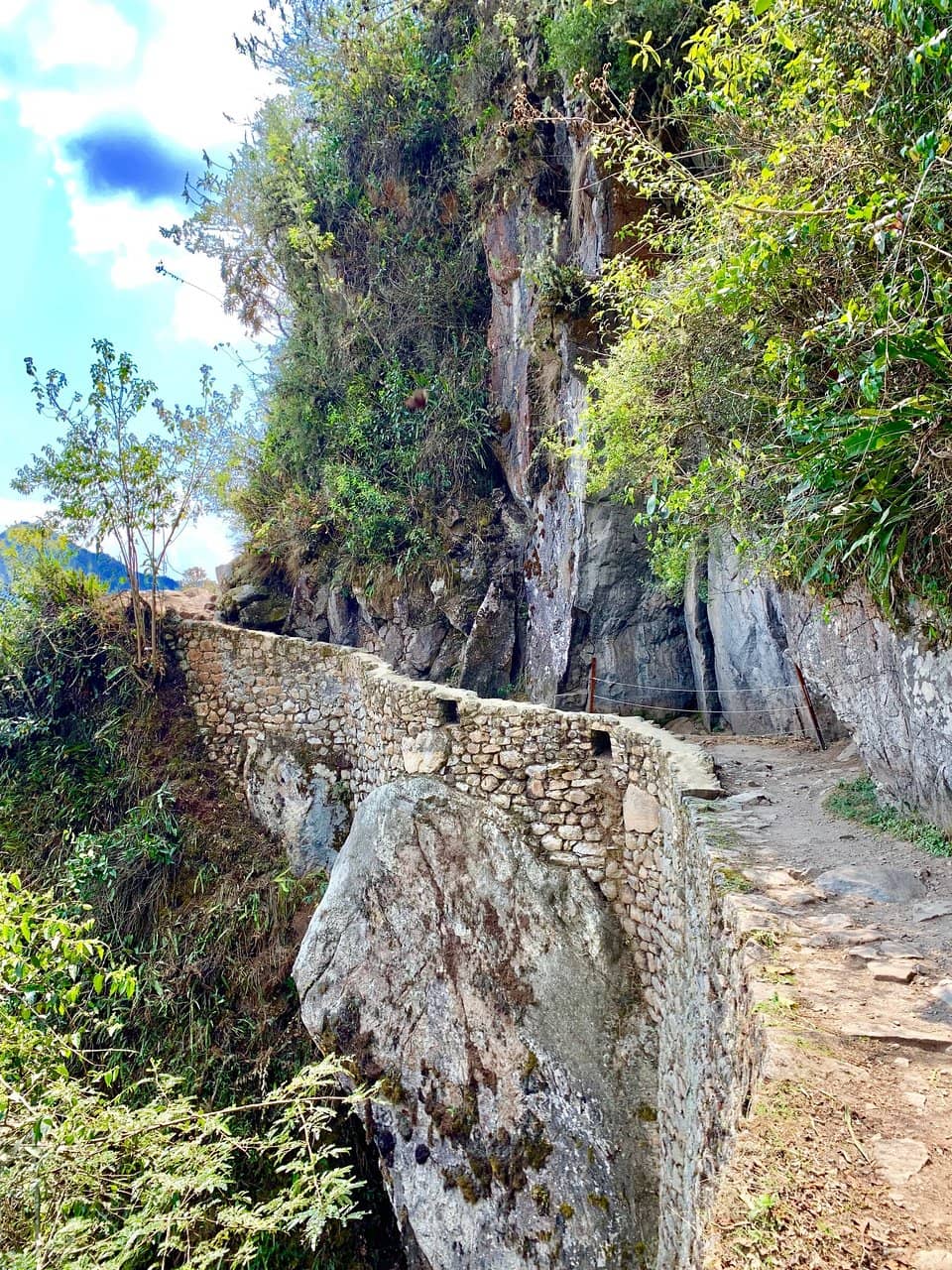Vertical photo