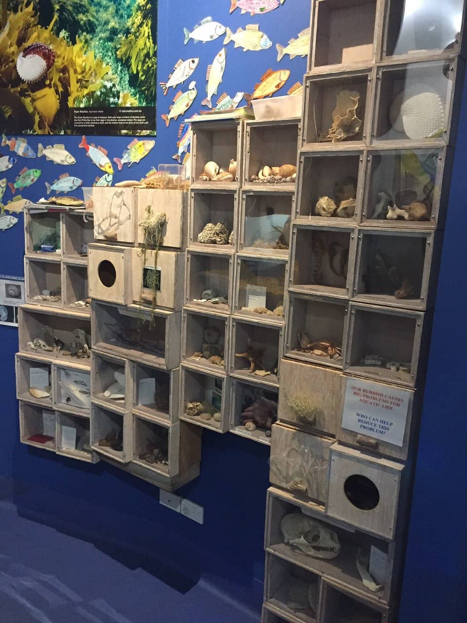 Passionate & Informative Staff