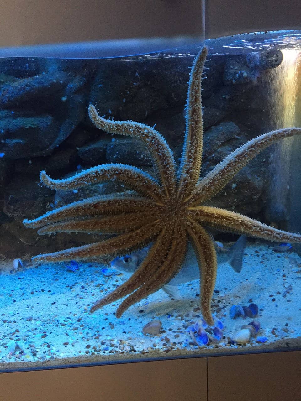 Fascinating Aquatic Exhibits