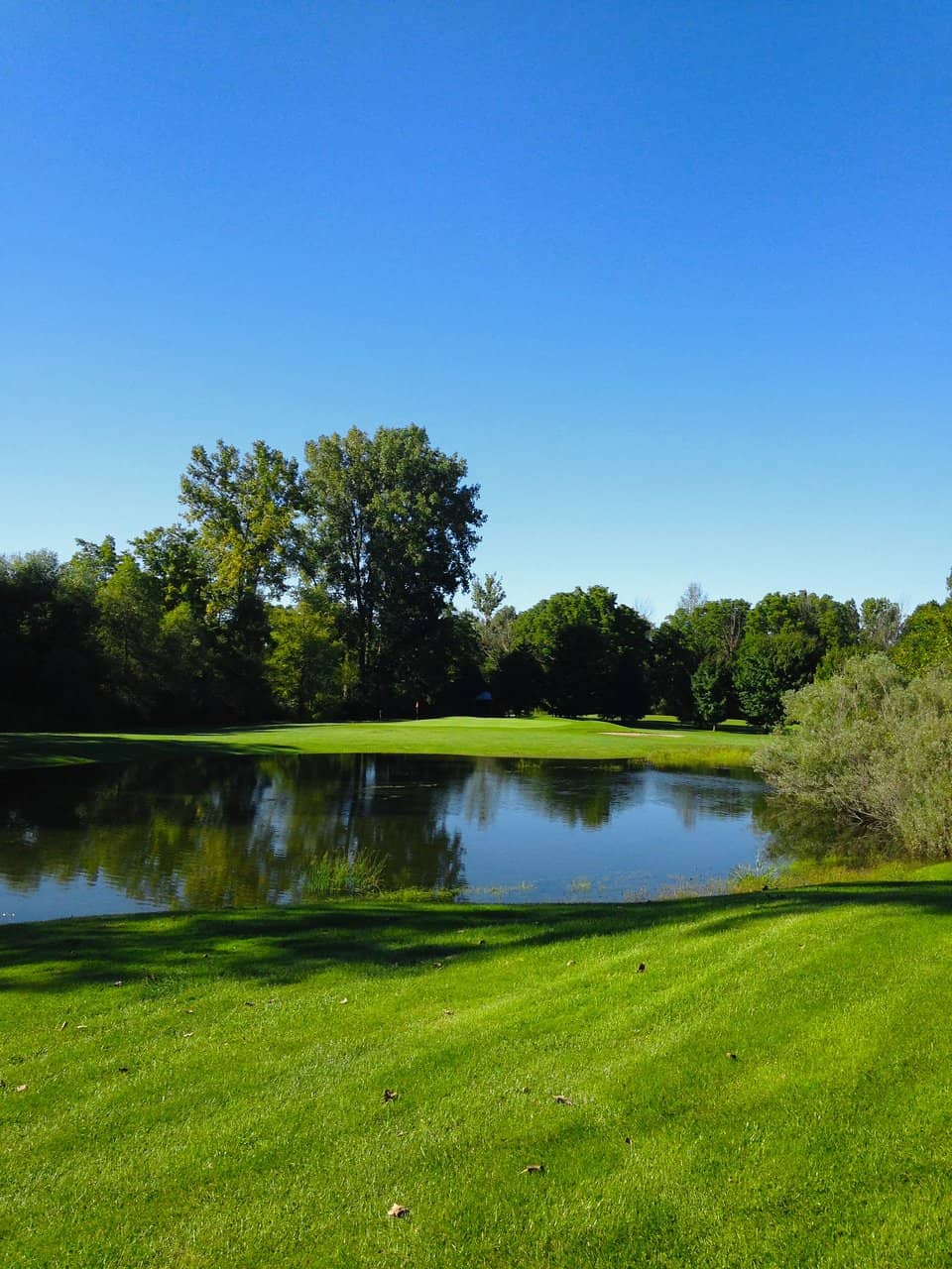 Undulating Greens
