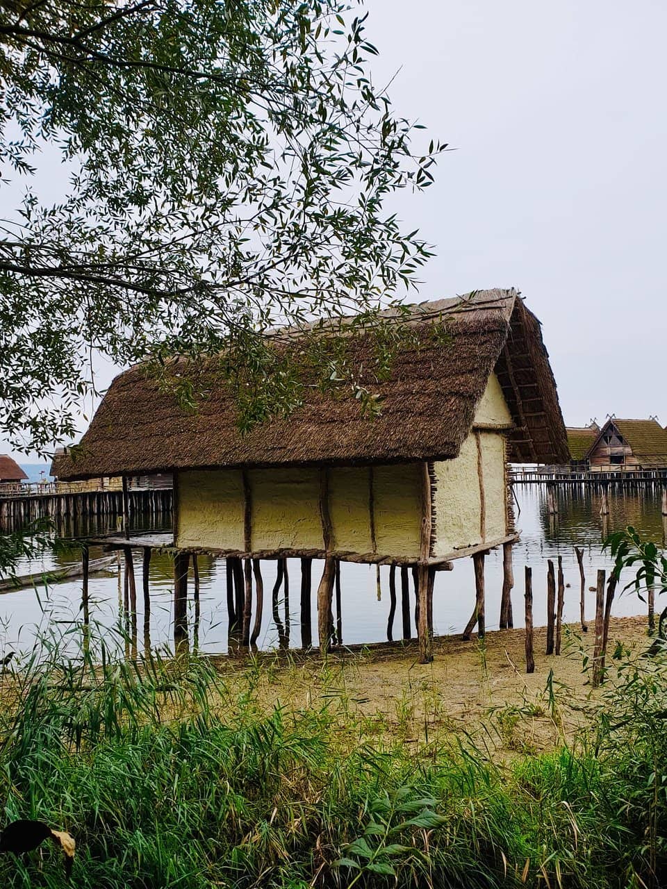 Daily Life Demonstrations