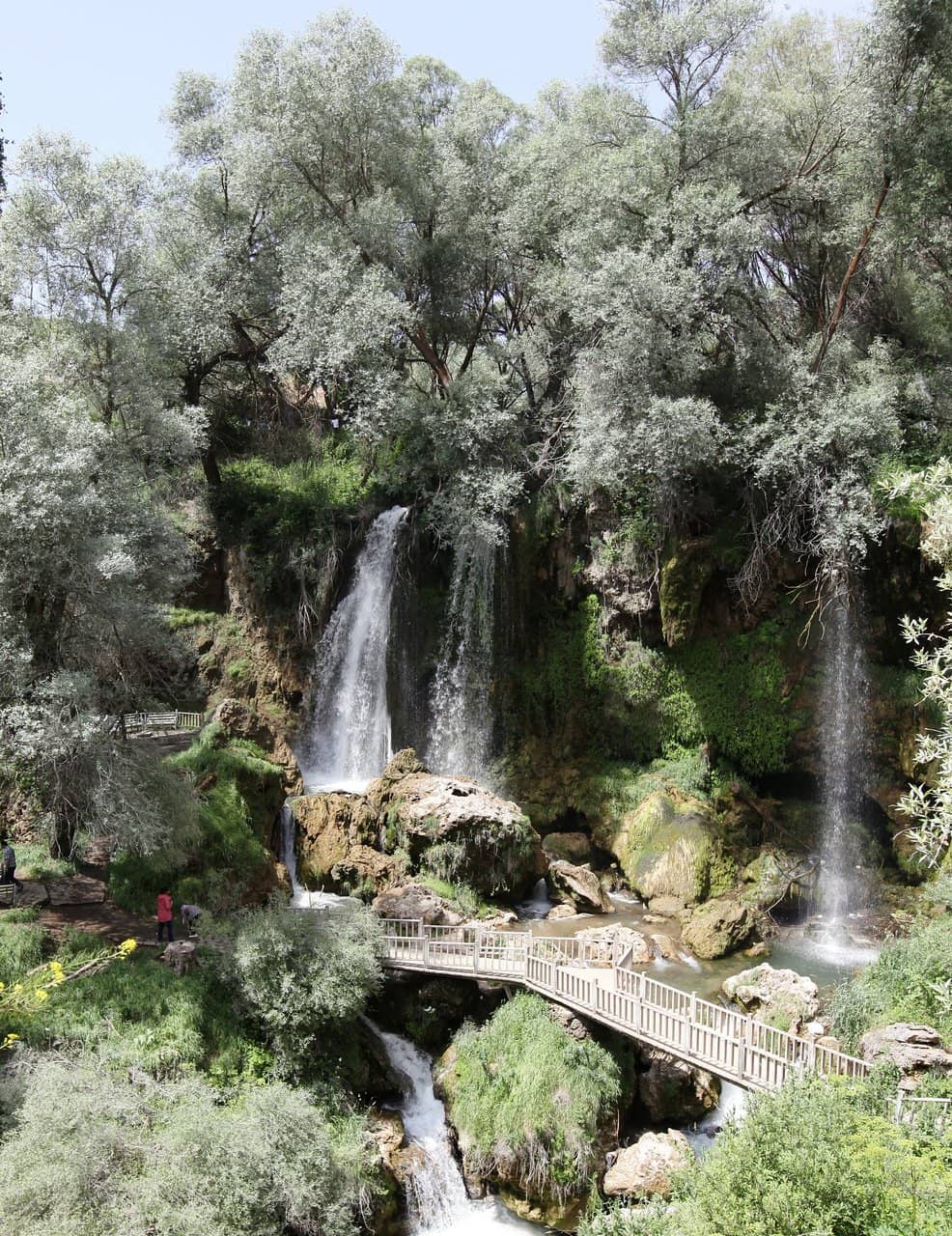 Vertical photo