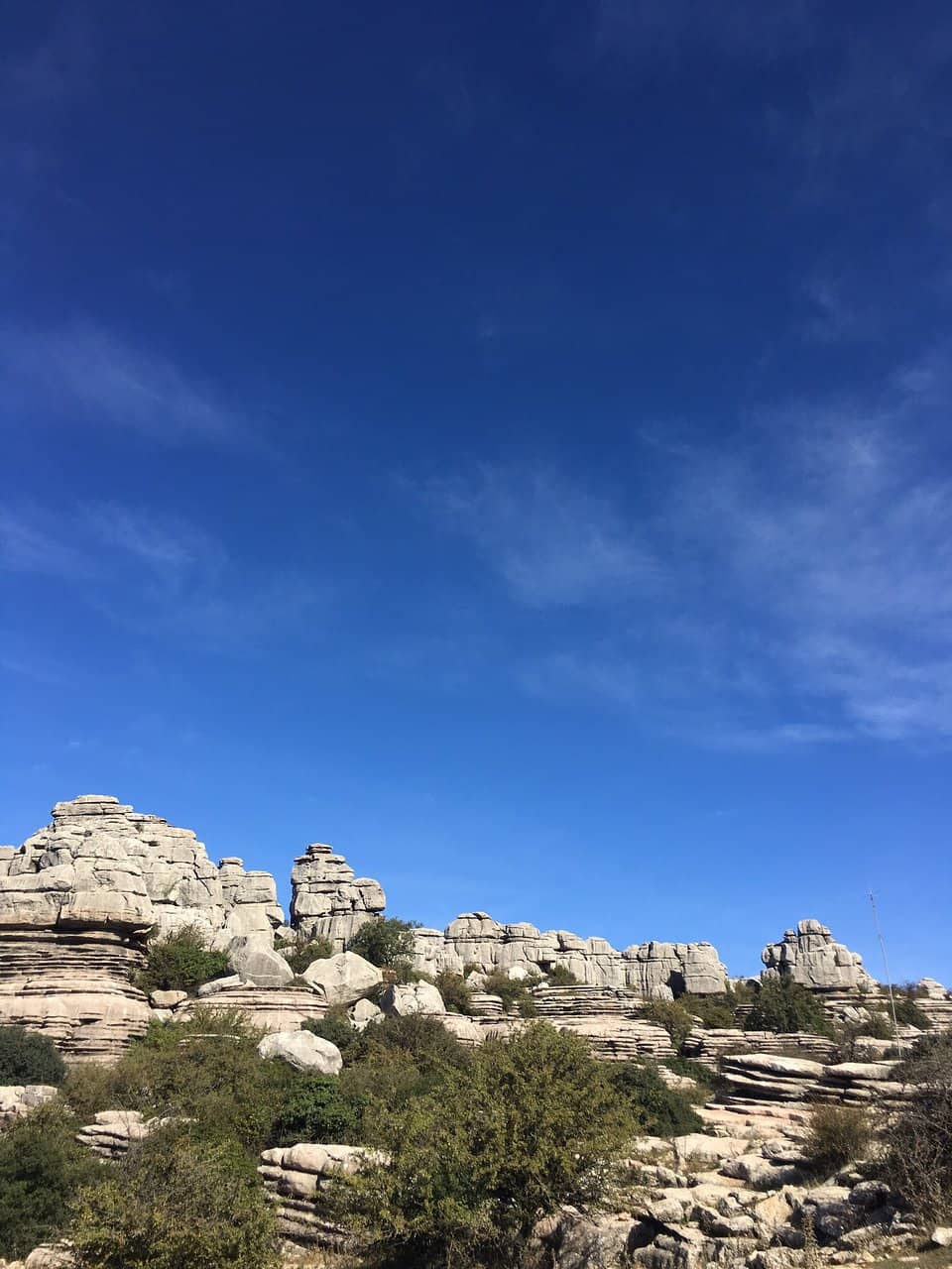 Scenic Hiking Trails