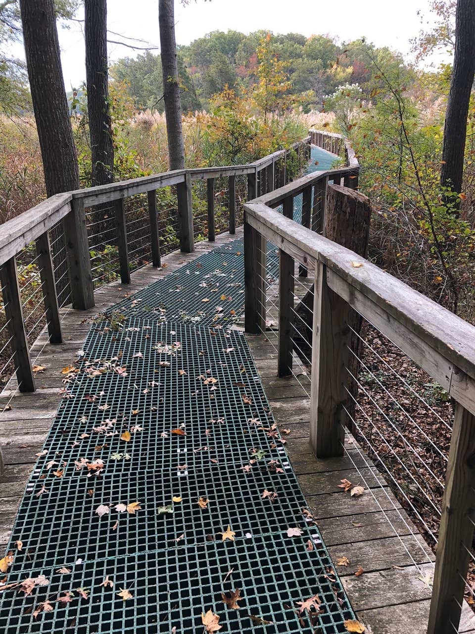 Discover Wetland Research