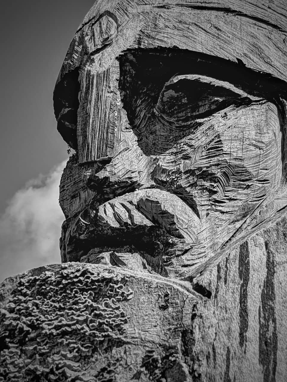 Hedge Maze Adventure