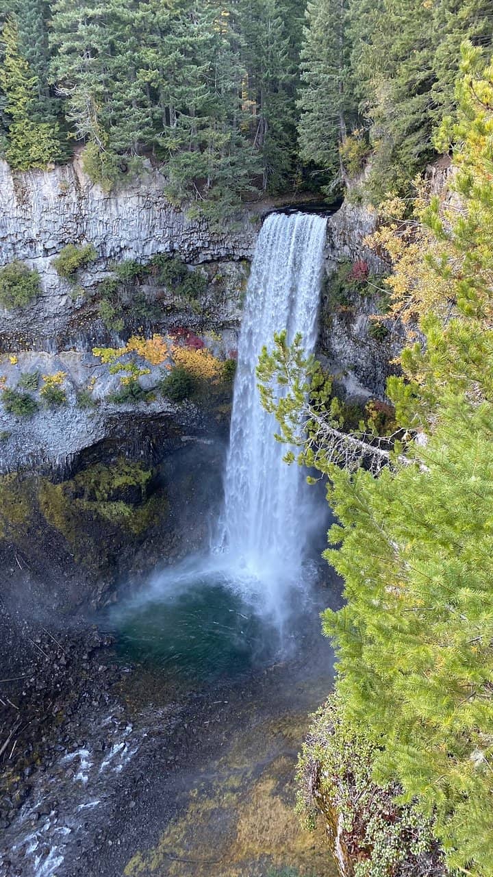 Vertical photo