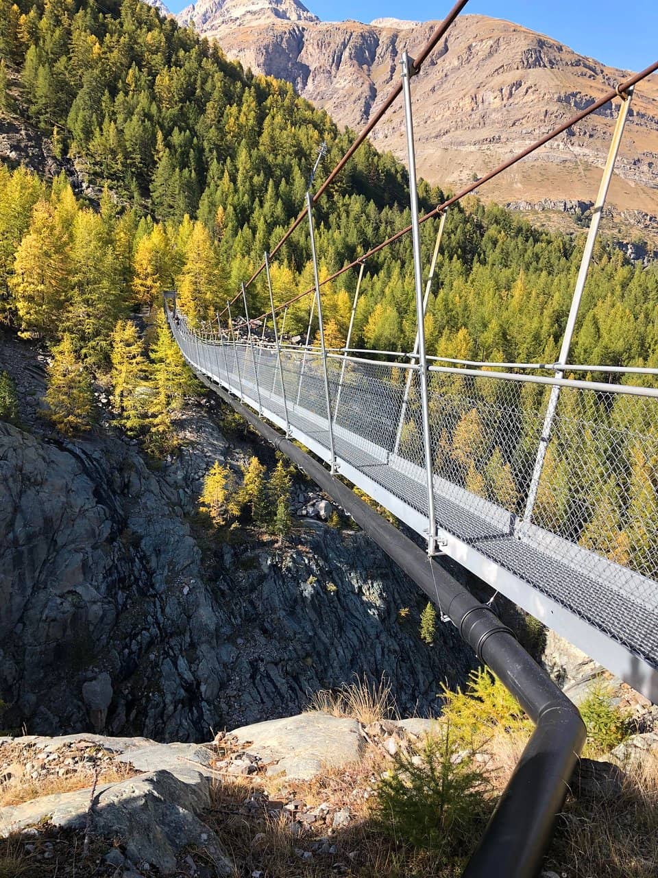 Gorge and Waterfall Views