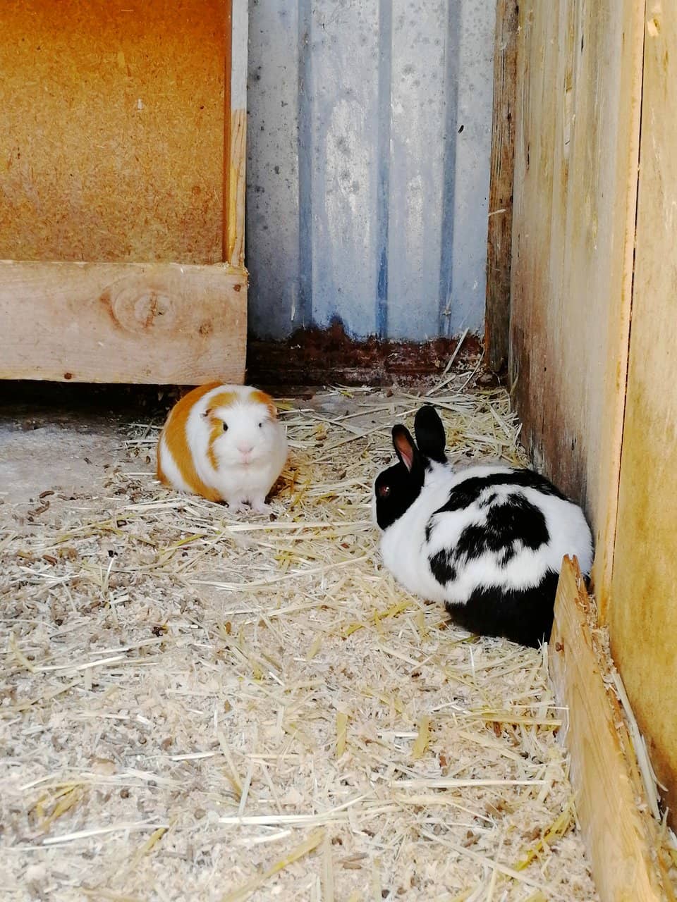 Peaceful Natural Setting