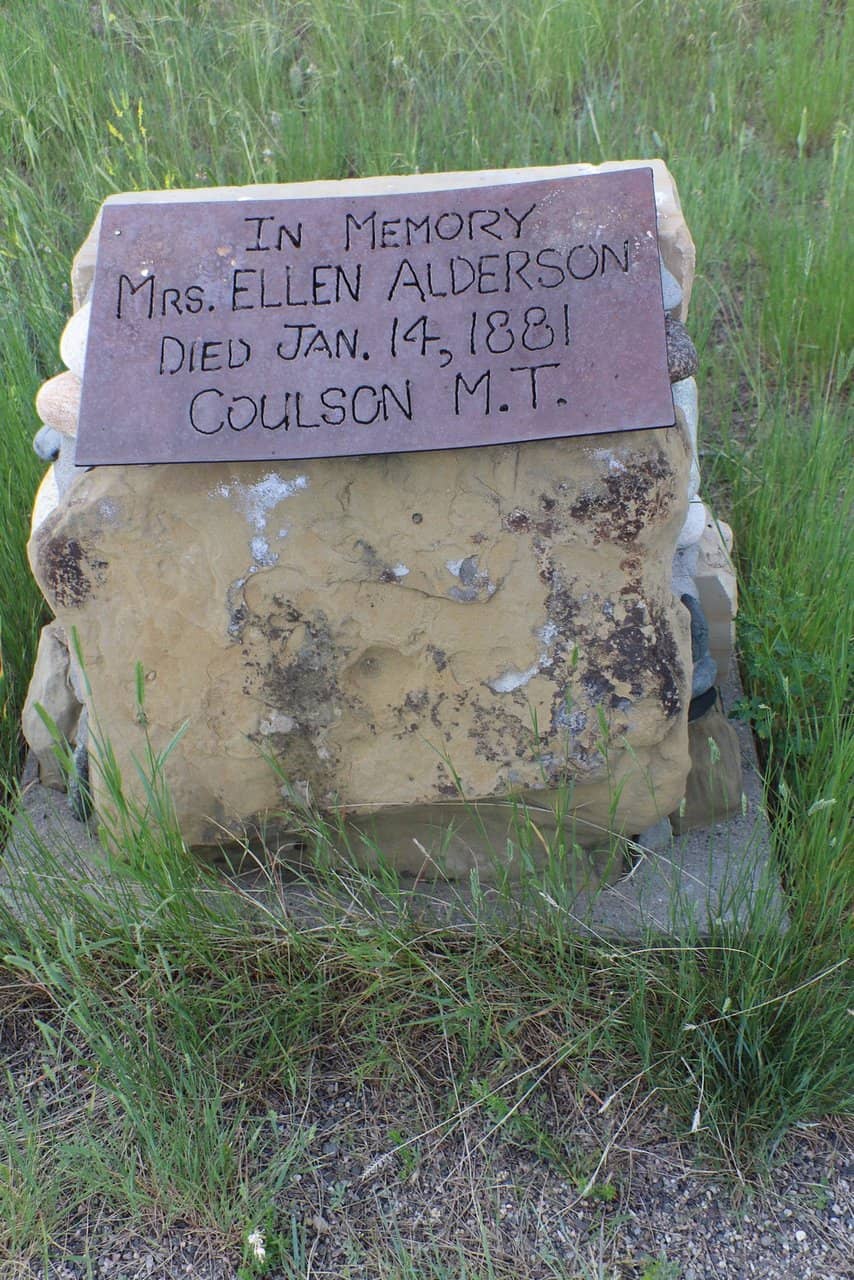 Sonoran Desert Flora