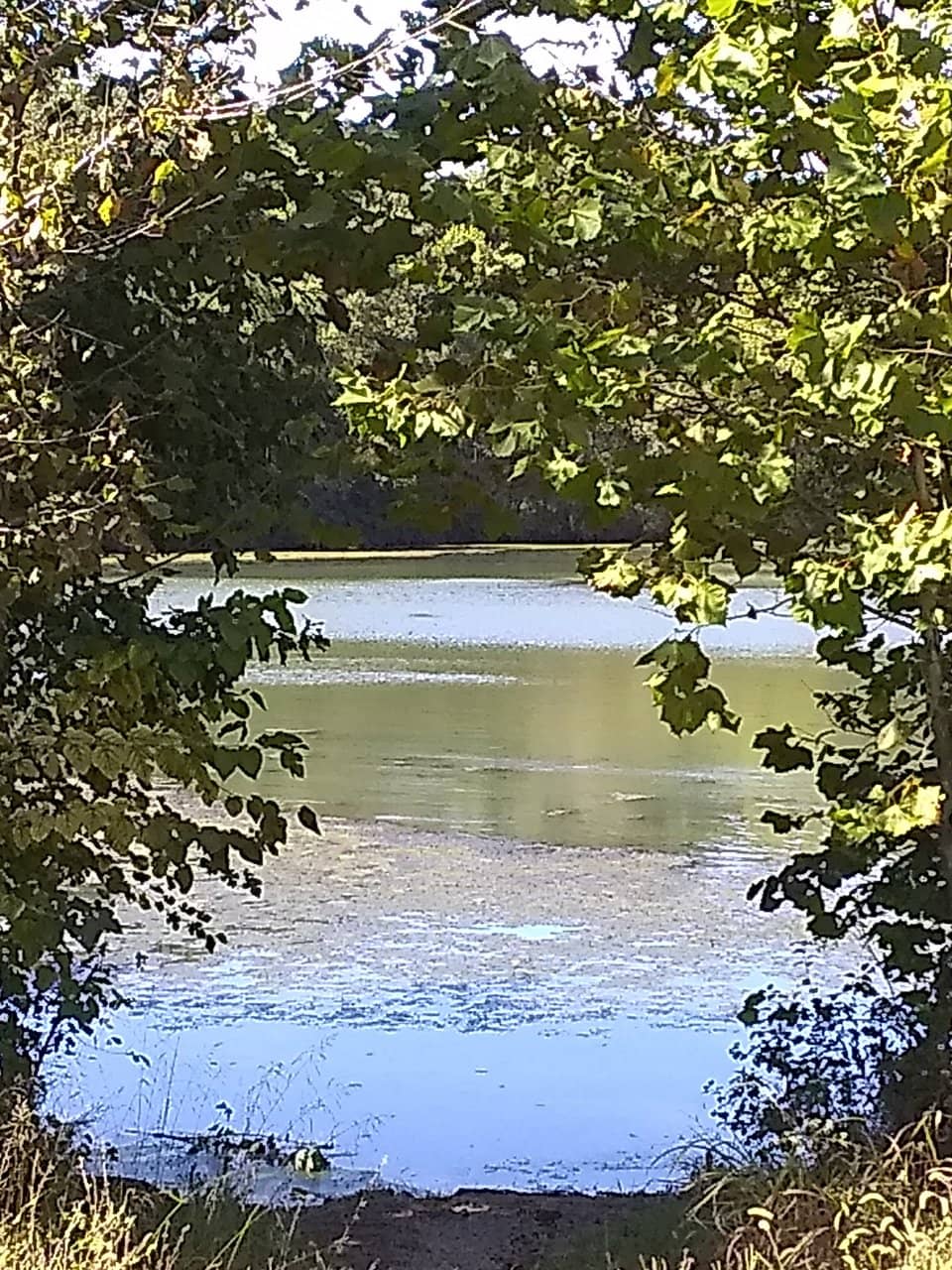 Visible Natural Spring