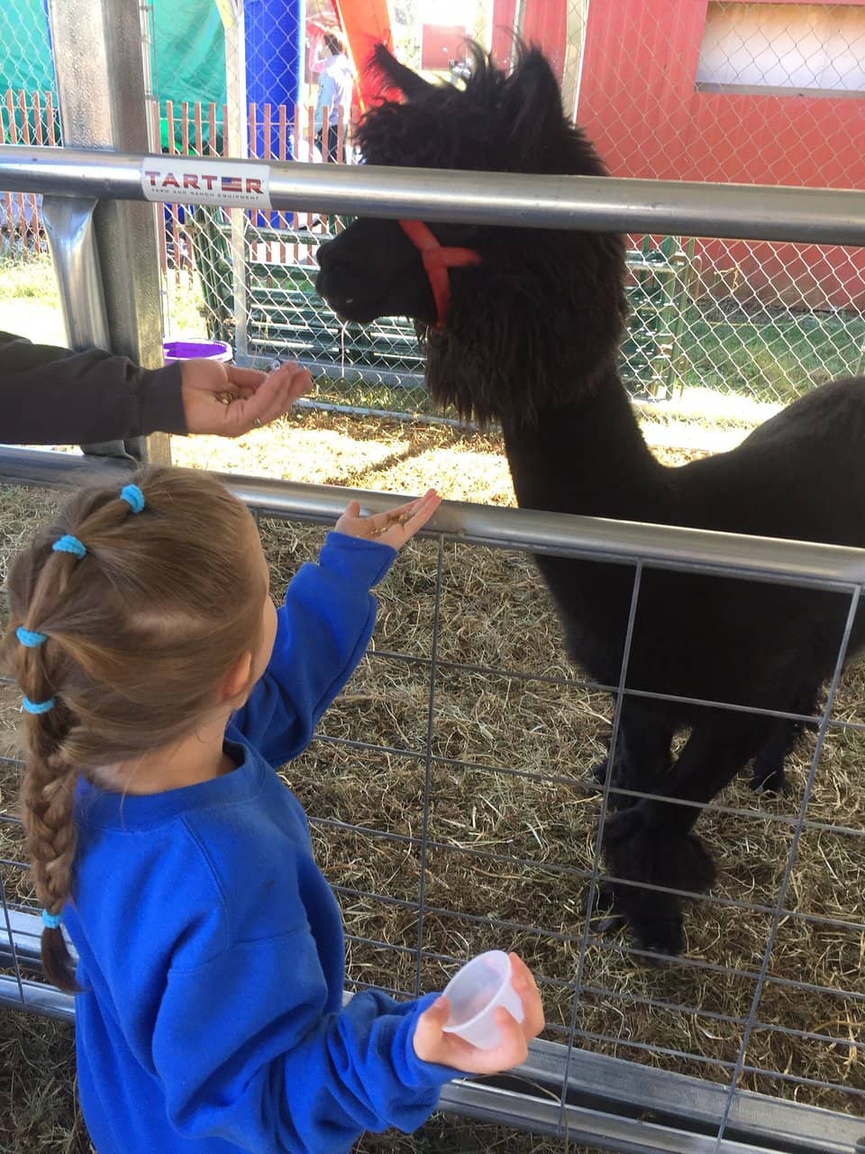 Farm Market Delights