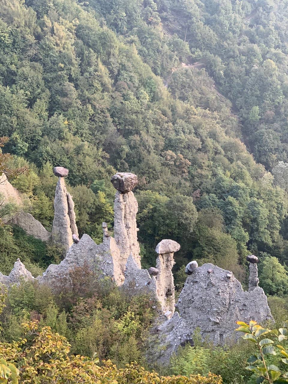 Vertical photo