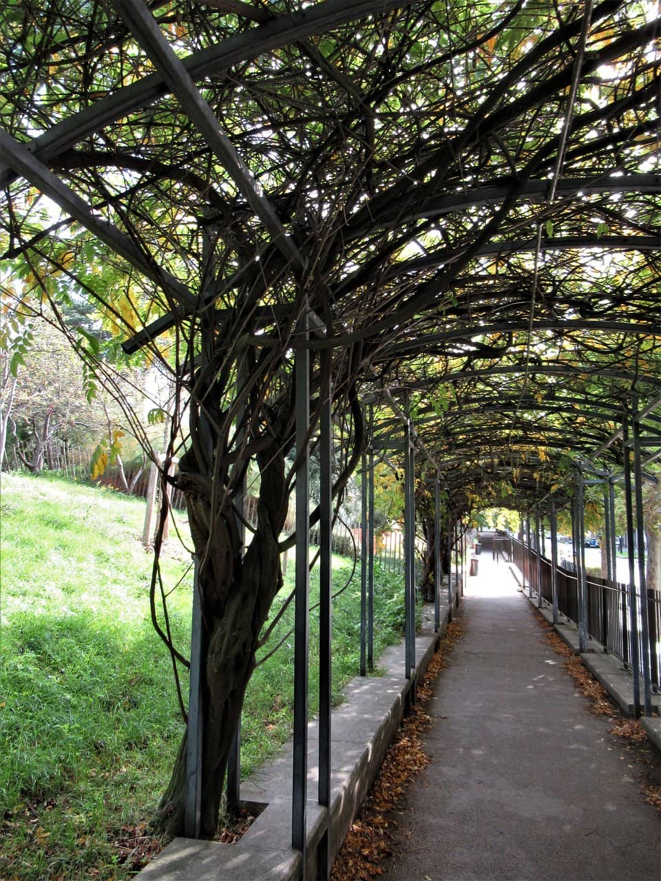 Children's Playground