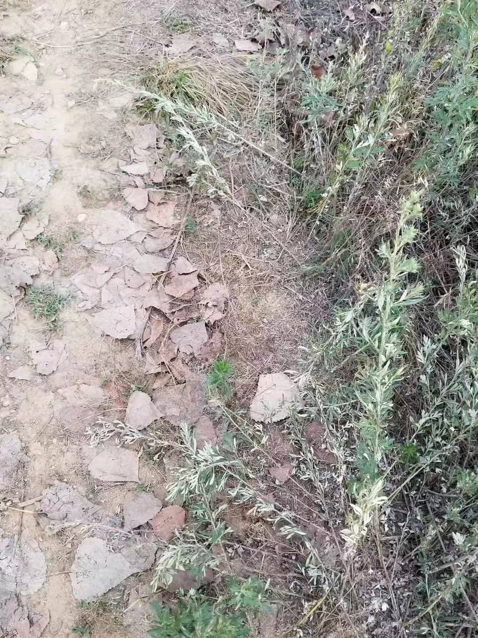 Vertical photo