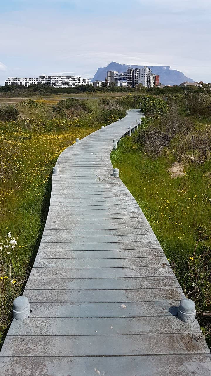 Walking Trails