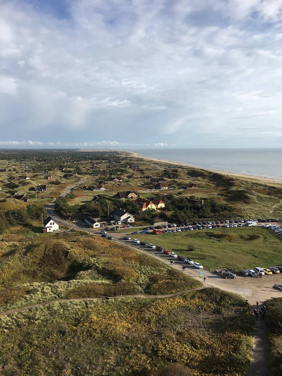 Dune Landscapes