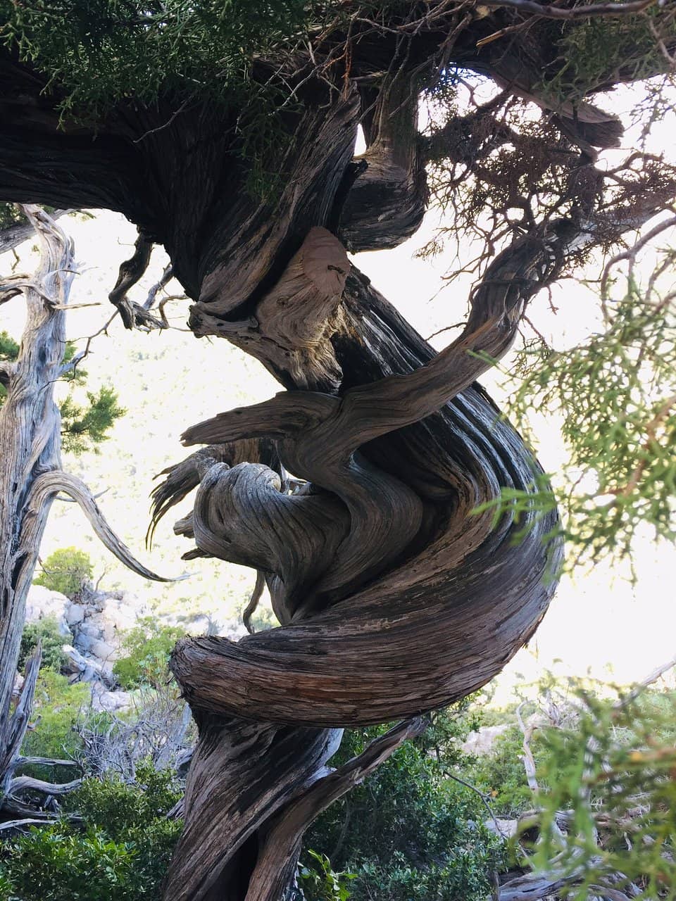 Breathtaking Supramonte Views