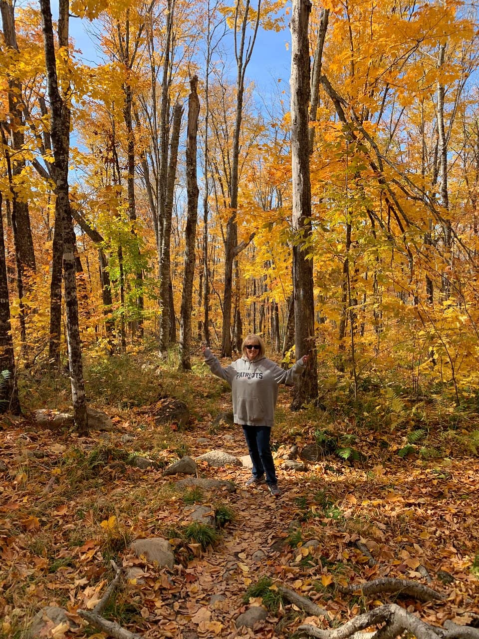 Brasstown Bald Summit