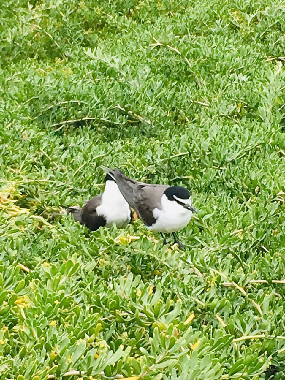 Highlights