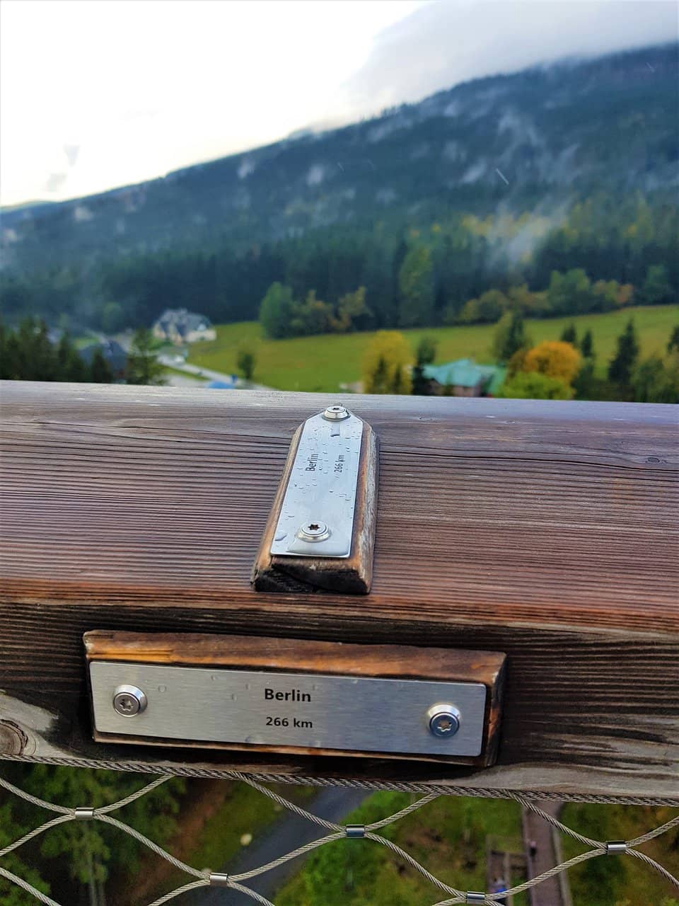 The Forest Floor Museum