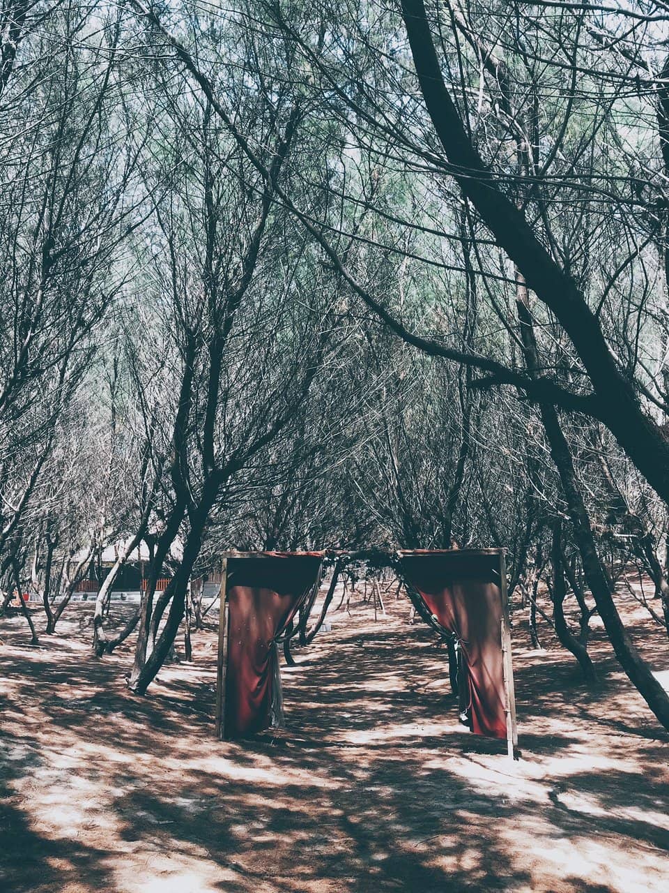 Gumuk Pasir Parangkusumo