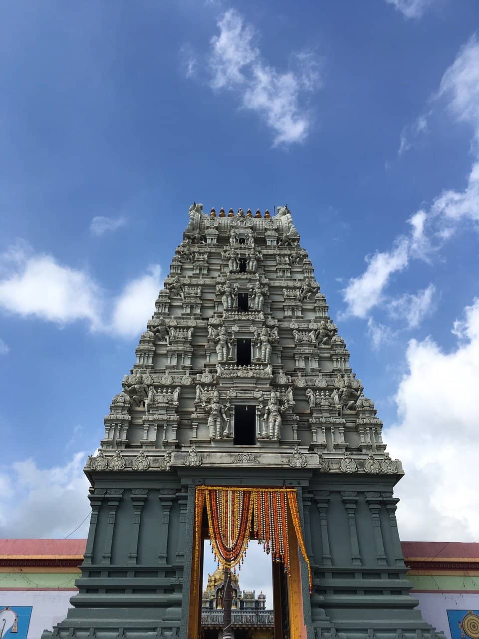 Vertical photo