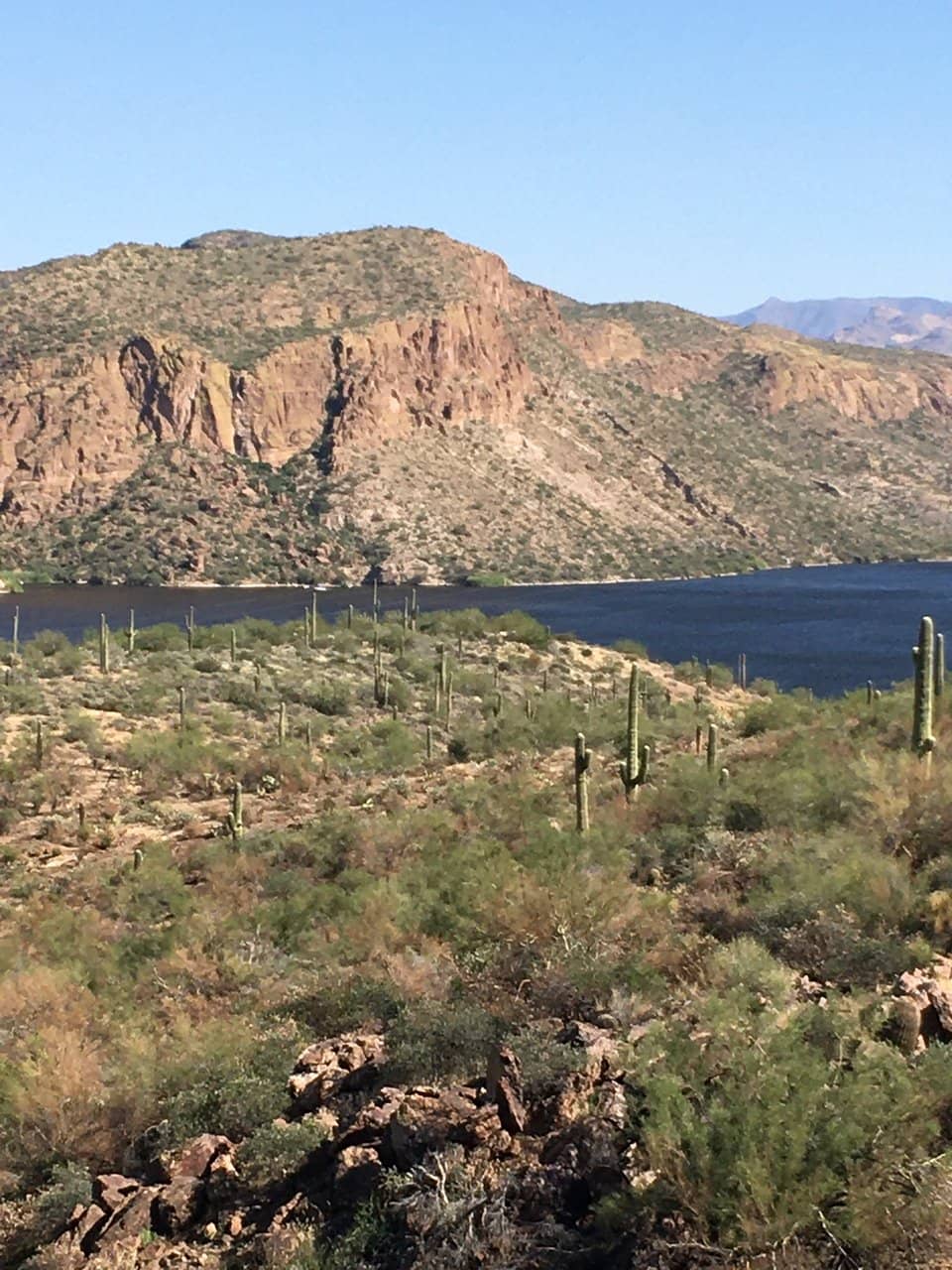 Mangamahoe Mountain Bike Park