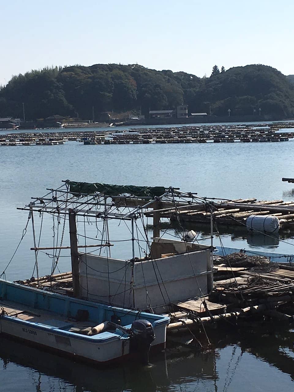 Wildlife Watching Spots