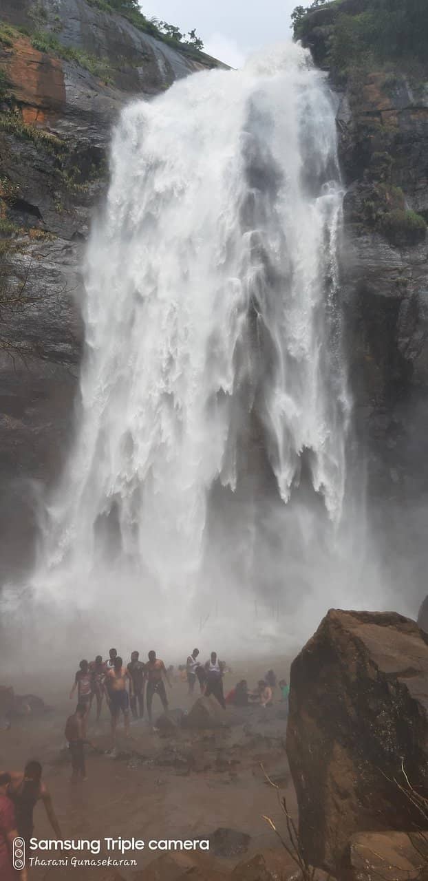 Vertical photo