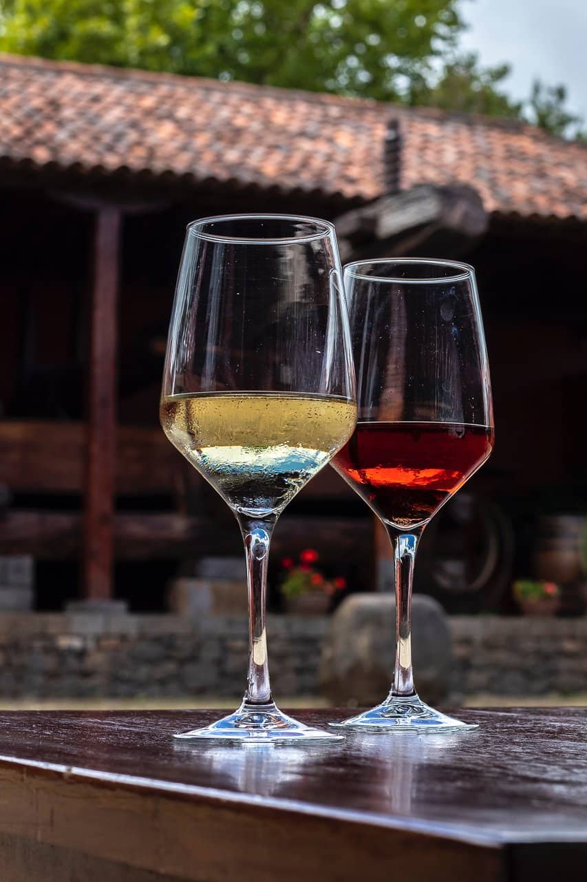 Wine Tasting Experience