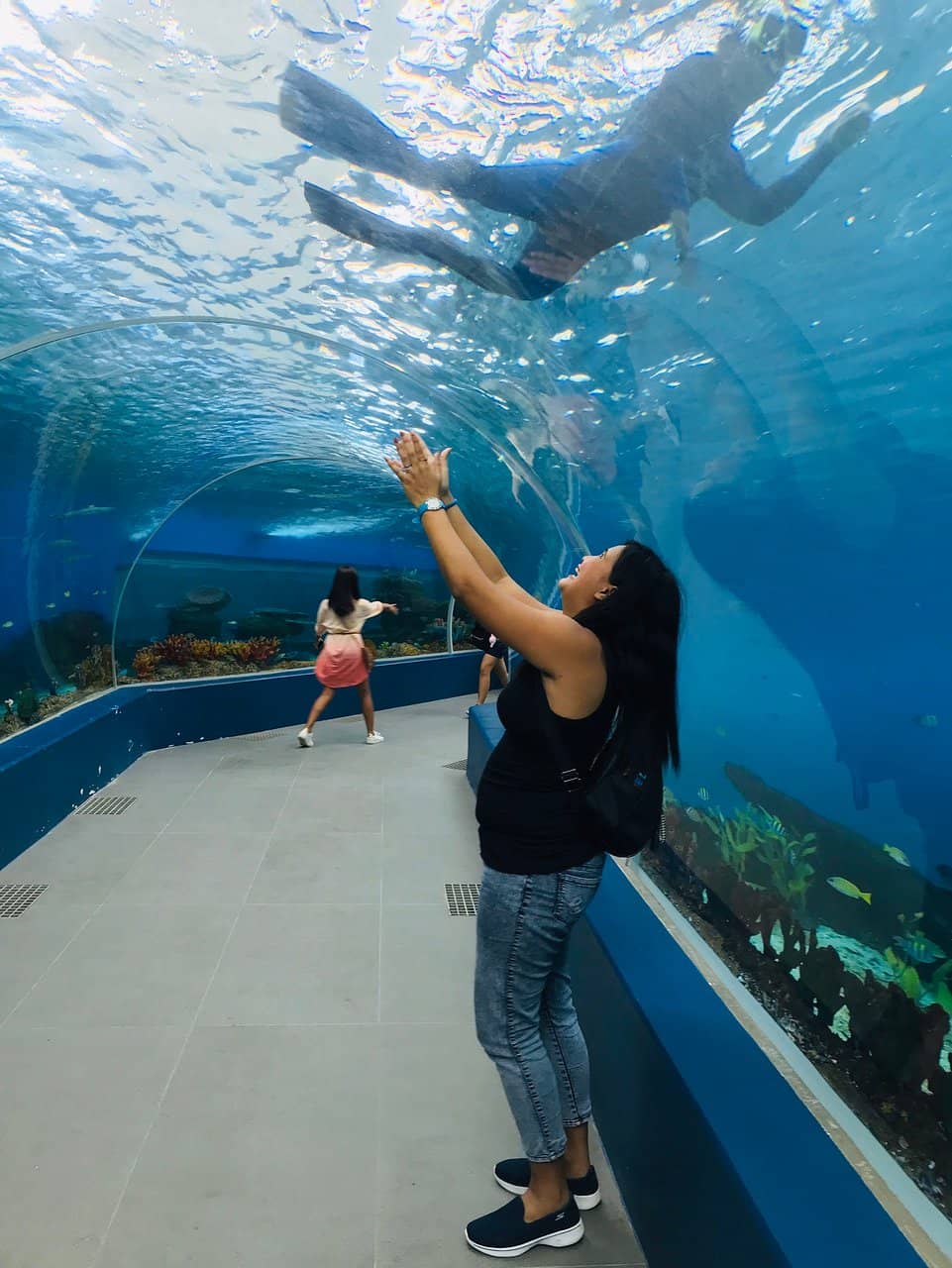 Cultural Performances