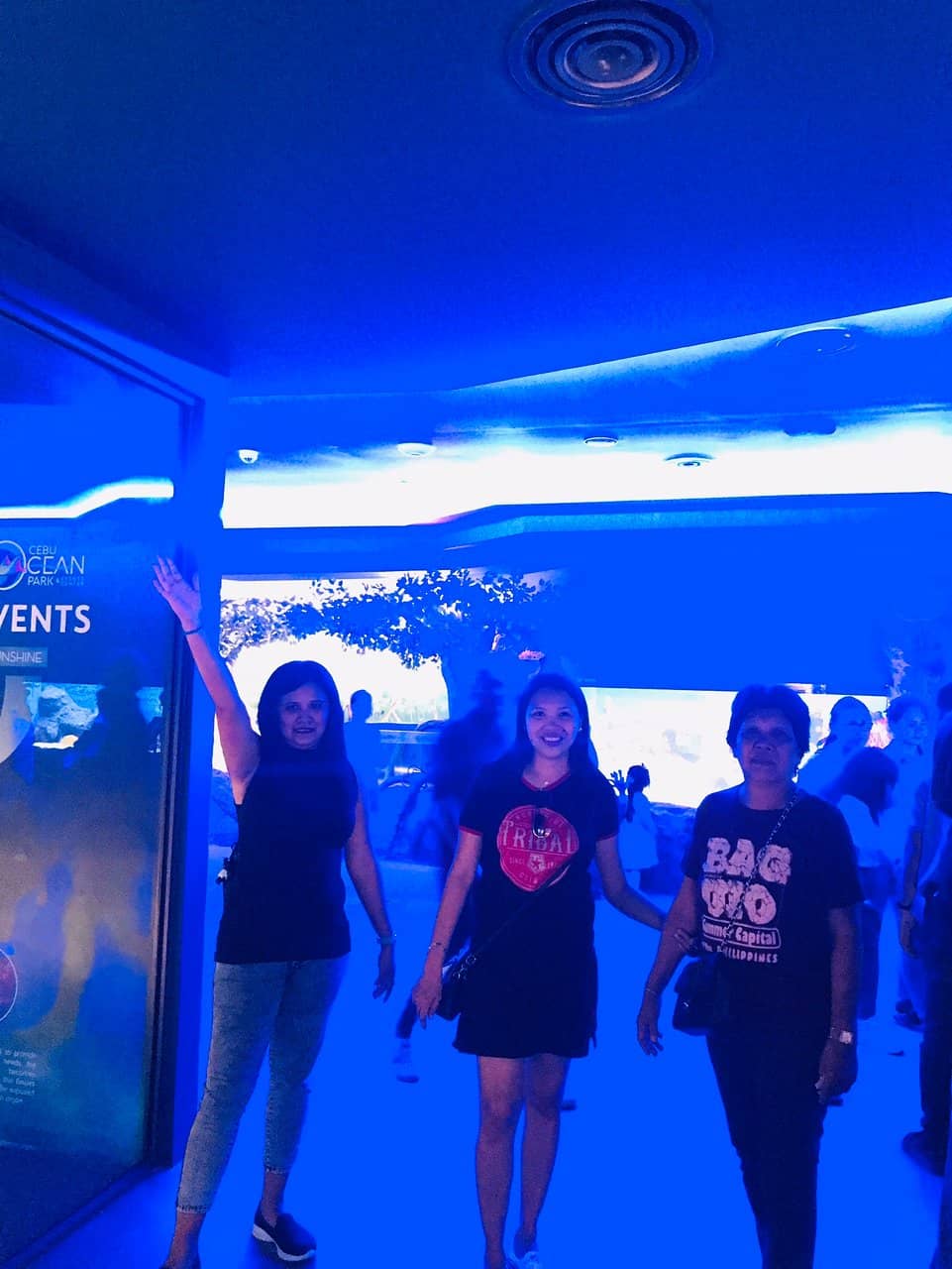 Intimate Wedding Ceremonies