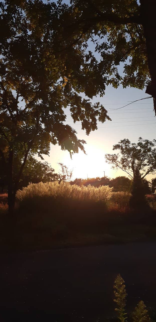 Jamwon Hangang Park Swimming Pool