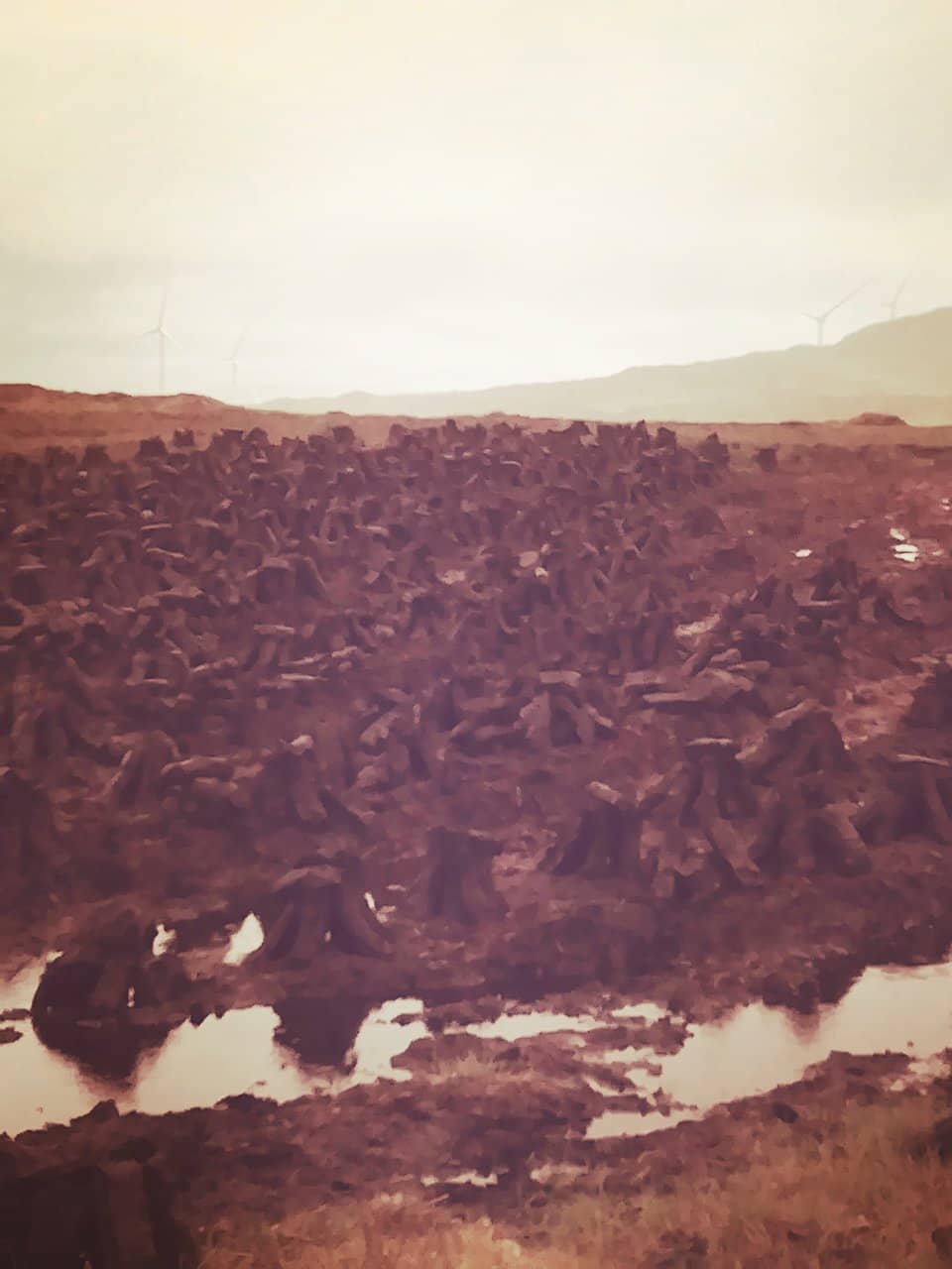 Community Hall & Events