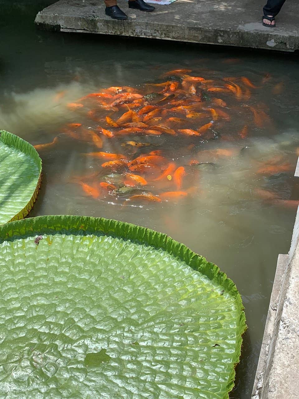 Ranger-Led Historical Tour