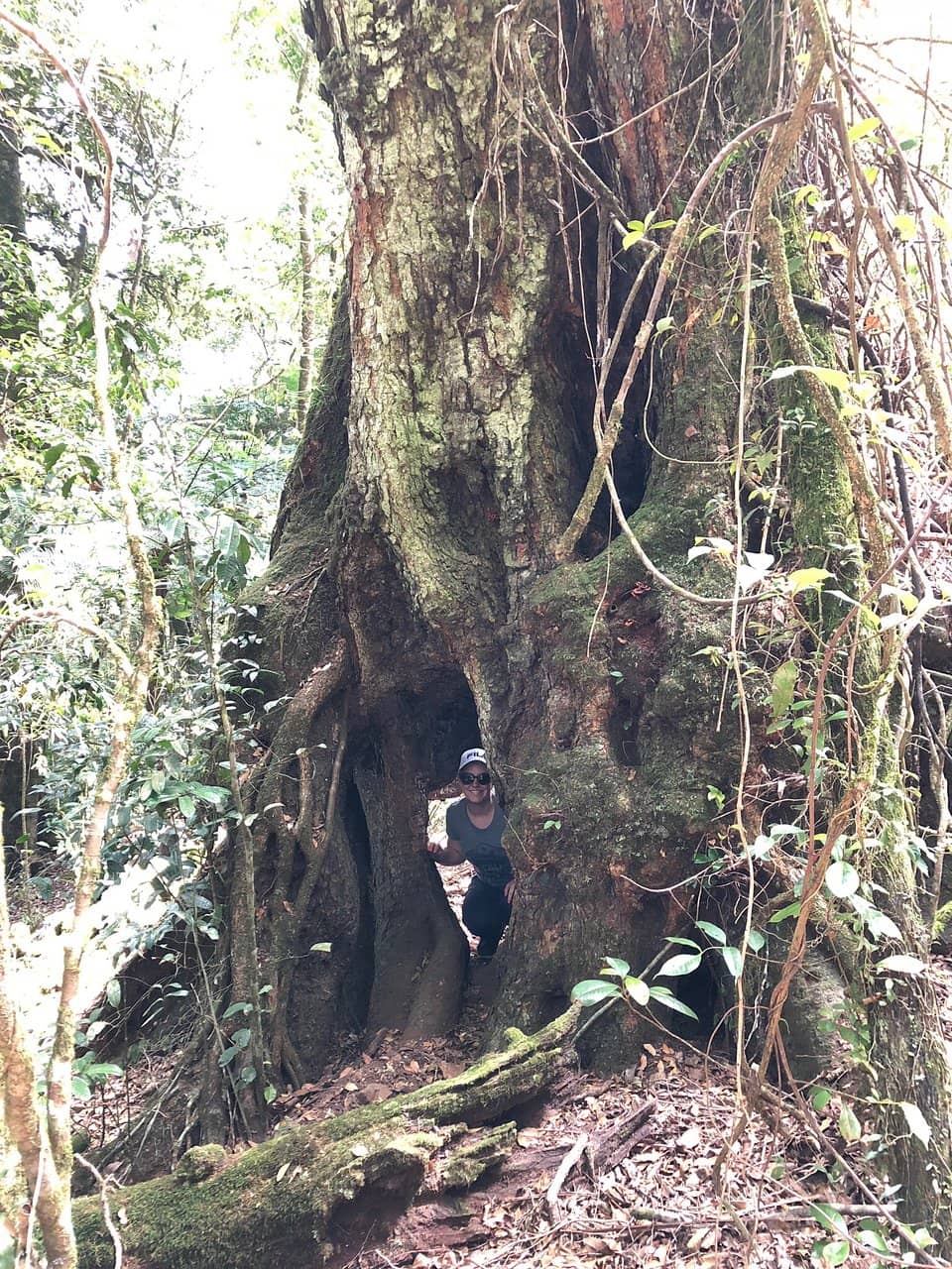 Vertical photo