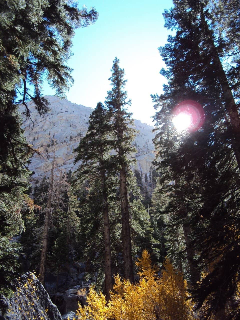 The 99 Switchbacks