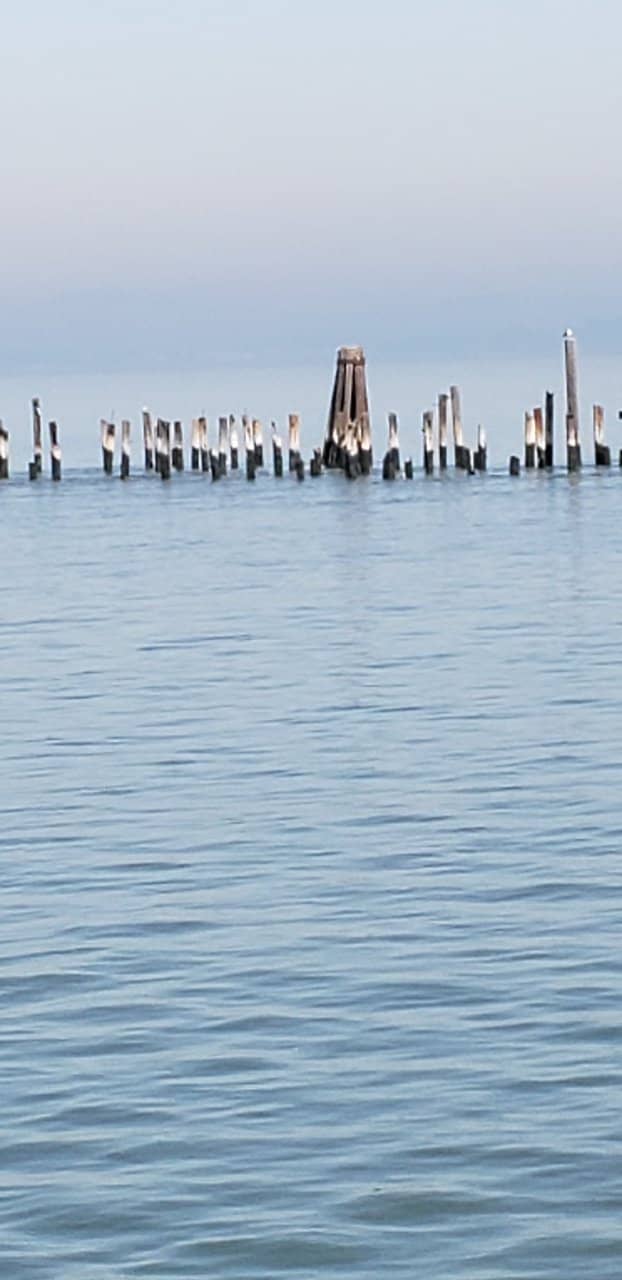 Dotson Family Marsh