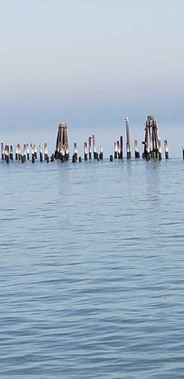 San Pablo Bay Views