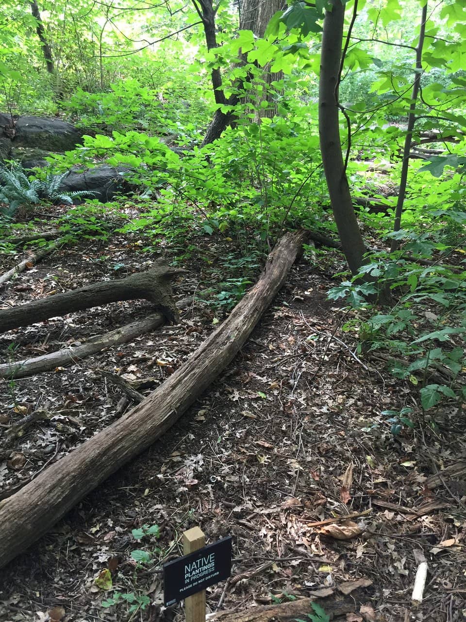 Abundant Local Wildlife