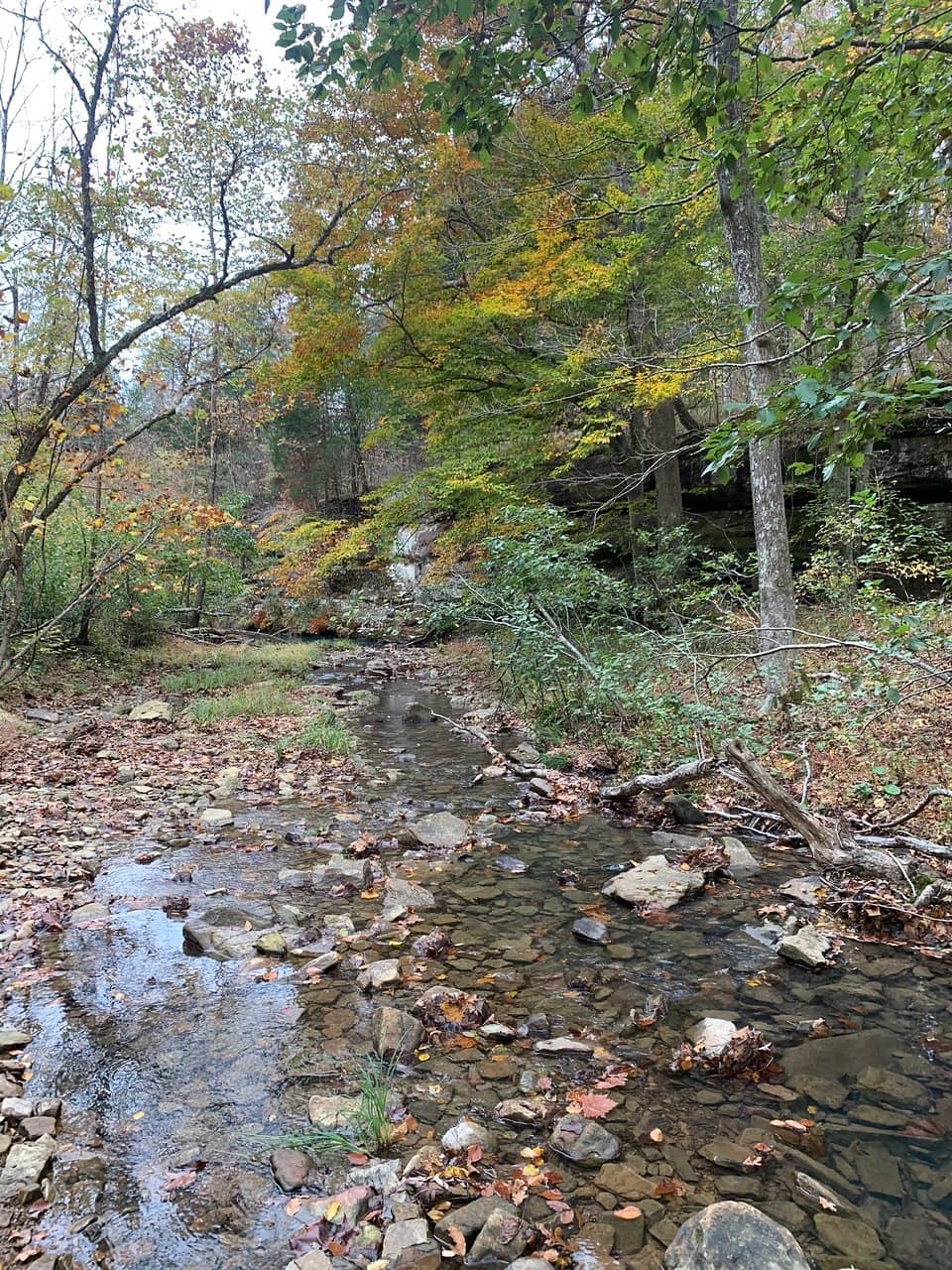 Mill Branch Trail (Red Trail)