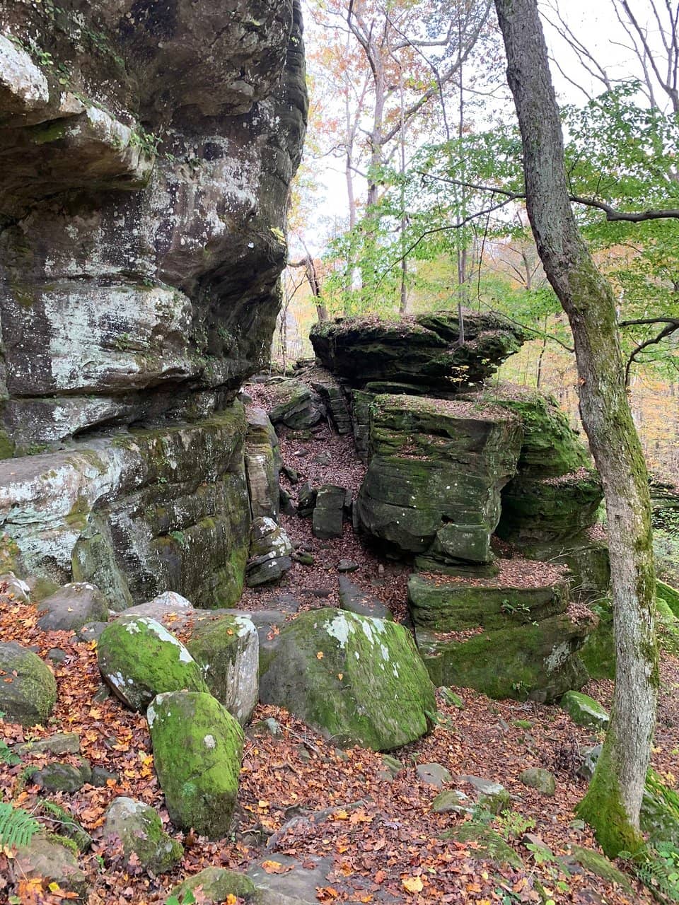 Paved Upper Trail Views